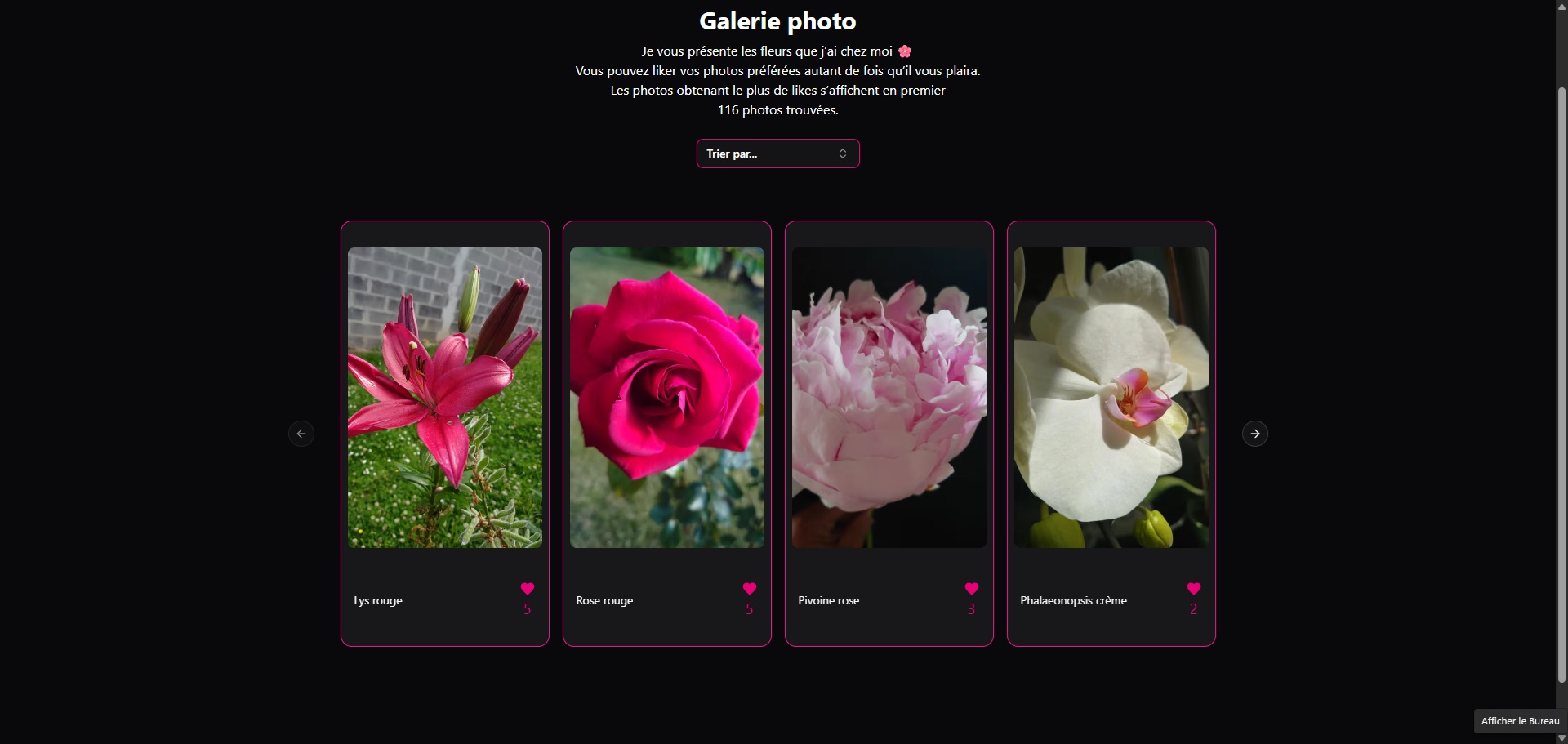 Capture d'écran du site flower.isabellelamarre